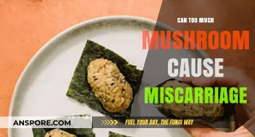 Mushroom Consumption and Pregnancy: Can Excess Cause Miscarriage Risks?