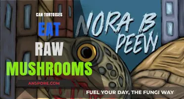 Can Tortoises Safely Eat Raw Mushrooms? A Dietary Guide