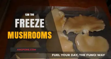 Can You Freeze Mushrooms? A Complete Guide to Preserving Freshness