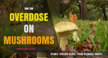 Mushroom Overdose: Understanding the Risks of Consuming Too Many