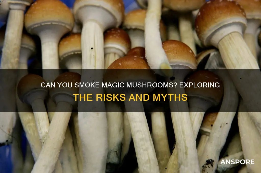 can tou smoke magic mushrooms
