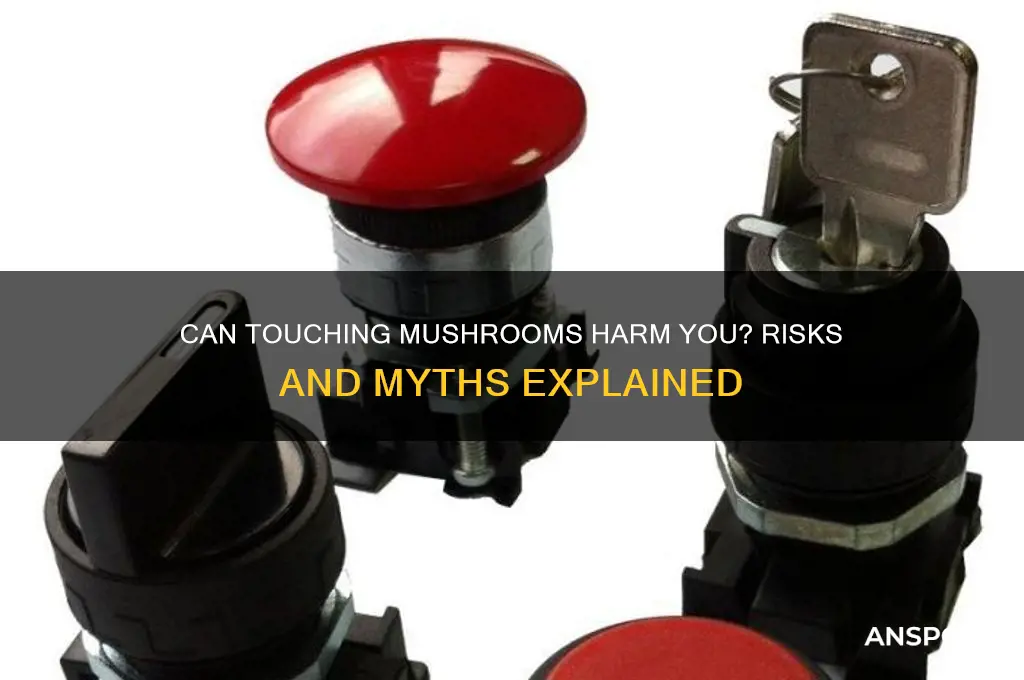 can touching a mushroom make you sick