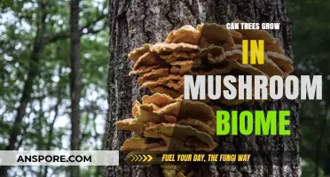 Exploring the Possibility of Trees Thriving in Mushroom Biomes