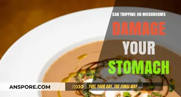 Mushroom Trips and Stomach Health: Potential Risks Explained