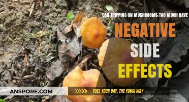 Mushroom Overuse: Potential Risks and Negative Side Effects Explored
