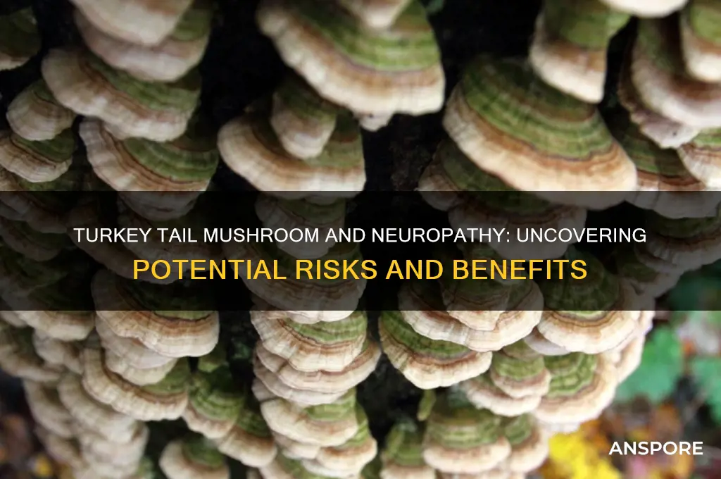 can turkey tail mushroom cause neuropathy