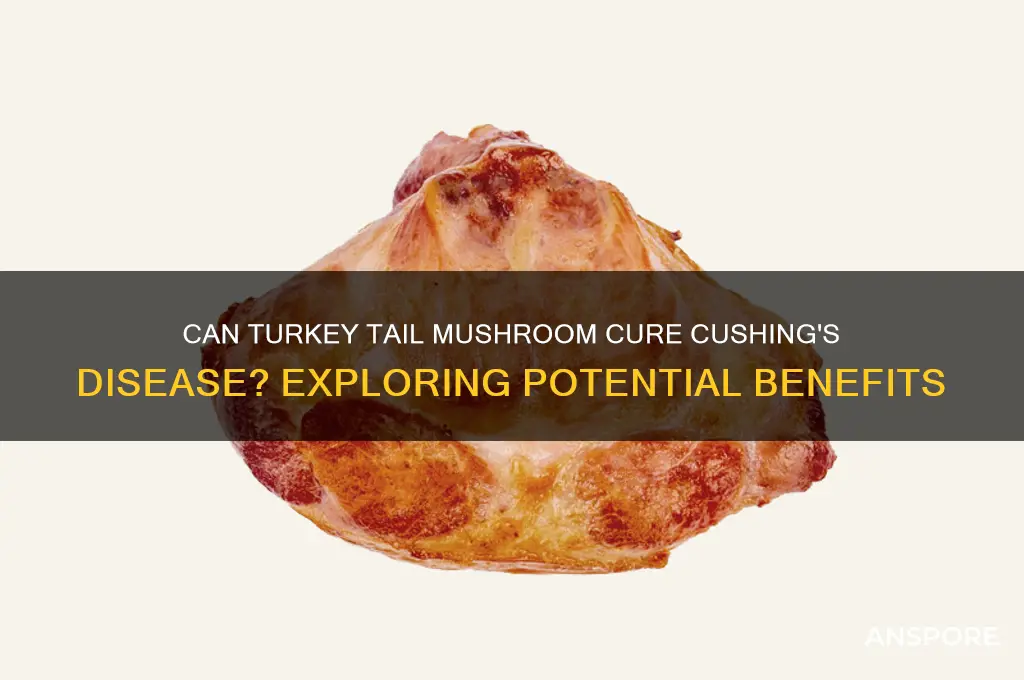 can turkey tail mushroom cure cushing disease