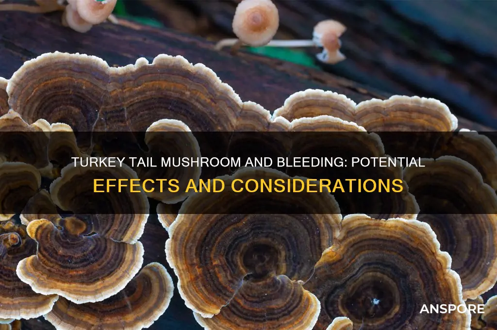 can turkey tail mushroom effect bleeding