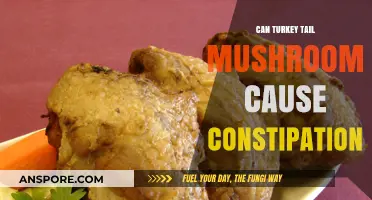 Turkey Tail Mushrooms and Constipation: What You Need to Know