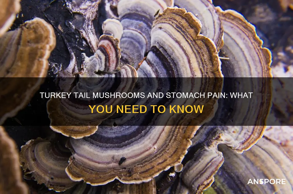can turkey tail mushrooms cause stomach pain
