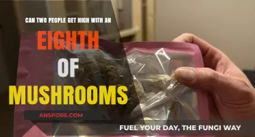 Sharing an Eighth: Can Two People Get High on Mushrooms?