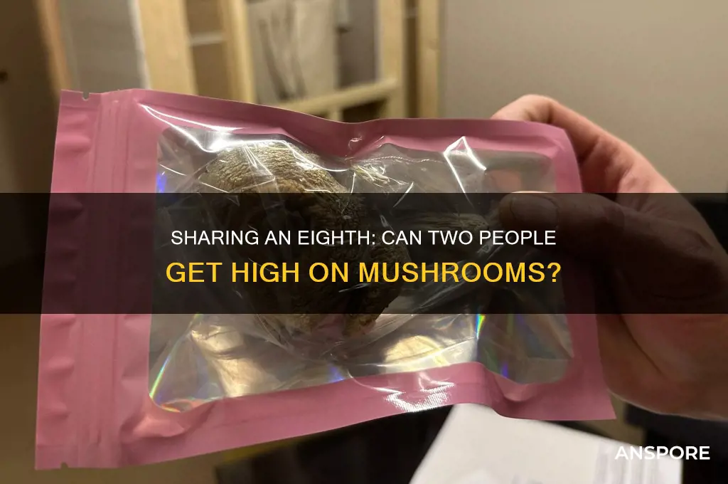 can two people get high with an eighth of mushrooms