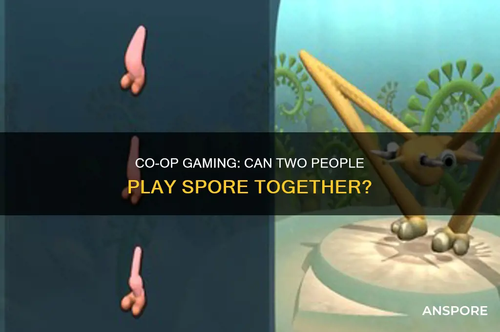 can two people play spore together