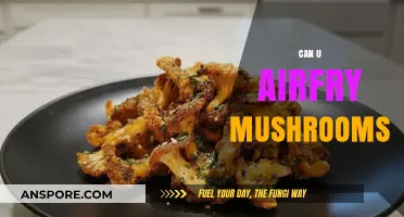 Crispy Air-Fried Mushrooms: A Quick, Healthy Snack Recipe Guide