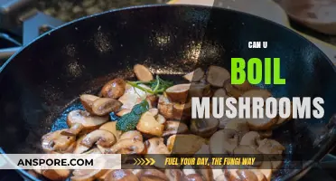 Boiling Mushrooms: Tips, Benefits, and Perfect Cooking Techniques