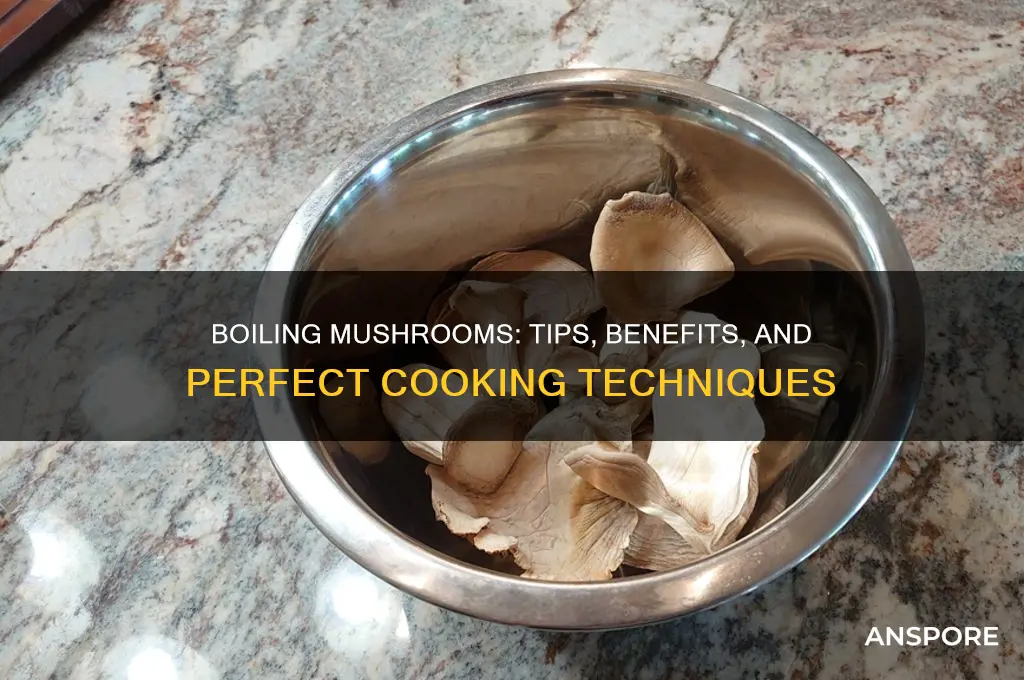 can u boil mushrooms