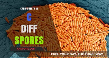 Breathing C. Diff Spores: Risks, Prevention, and Air Safety Tips