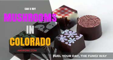 Buying Mushrooms in Colorado: Legal Status and Purchasing Options