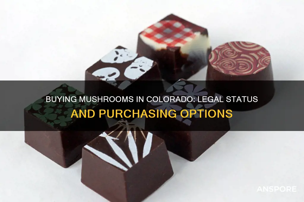 can u buy mushrooms in colorado