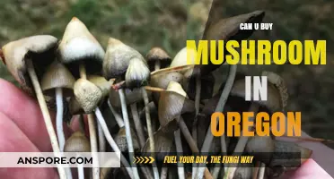 Where to Buy Mushrooms in Oregon: Legal Options and Tips