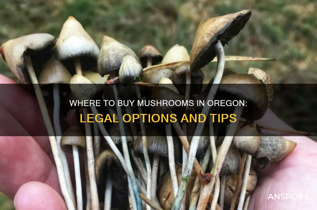can u buy mushrooms in oregon
