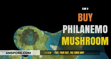 Where to Buy Philanemo Mushrooms: A Comprehensive Guide for Gamers