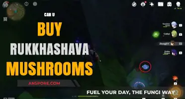Where to Find Rukkhashava Mushrooms: Buying Guide and Tips