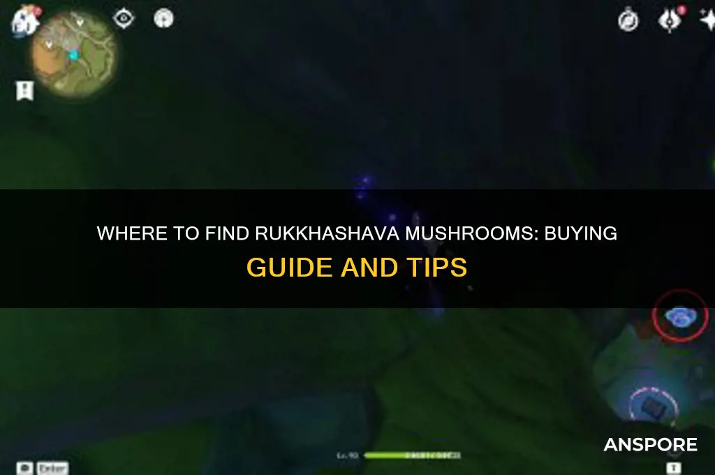 can u buy rukkhashava mushrooms