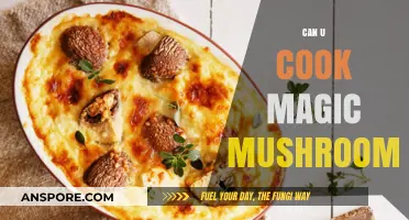 Can You Cook Magic Mushrooms? A Culinary and Legal Exploration