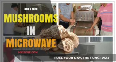 Microwave Mushroom Magic: Quick, Easy, and Delicious Cooking Tips
