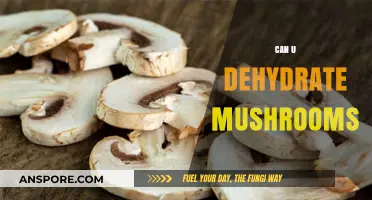 Dehydrating Mushrooms: A Simple Guide to Preserving Flavor and Freshness
