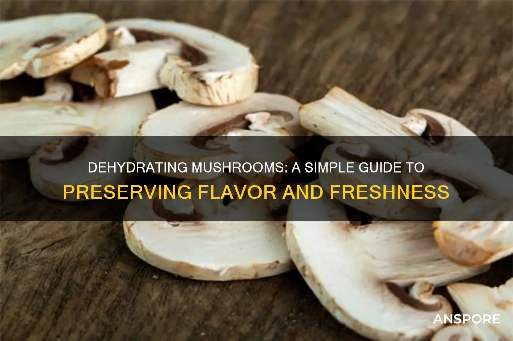can u dehydrate mushrooms
