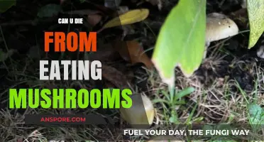 Can Eating Mushrooms Be Deadly? Uncovering the Toxic Truth