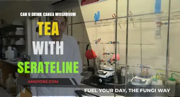 Caution: Mixing Cangha Mushroom Tea with Sertraline - Risks Explained
