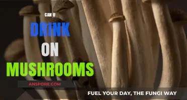 Can You Safely Mix Alcohol and Magic Mushrooms? Risks Explained