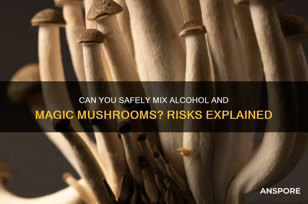 can u drink on mushrooms