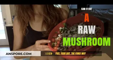 Can You Eat Raw Mushrooms? Risks, Benefits, and Safe Practices