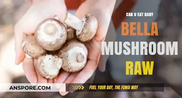 Can You Eat Baby Bella Mushrooms Raw? Safety and Tips