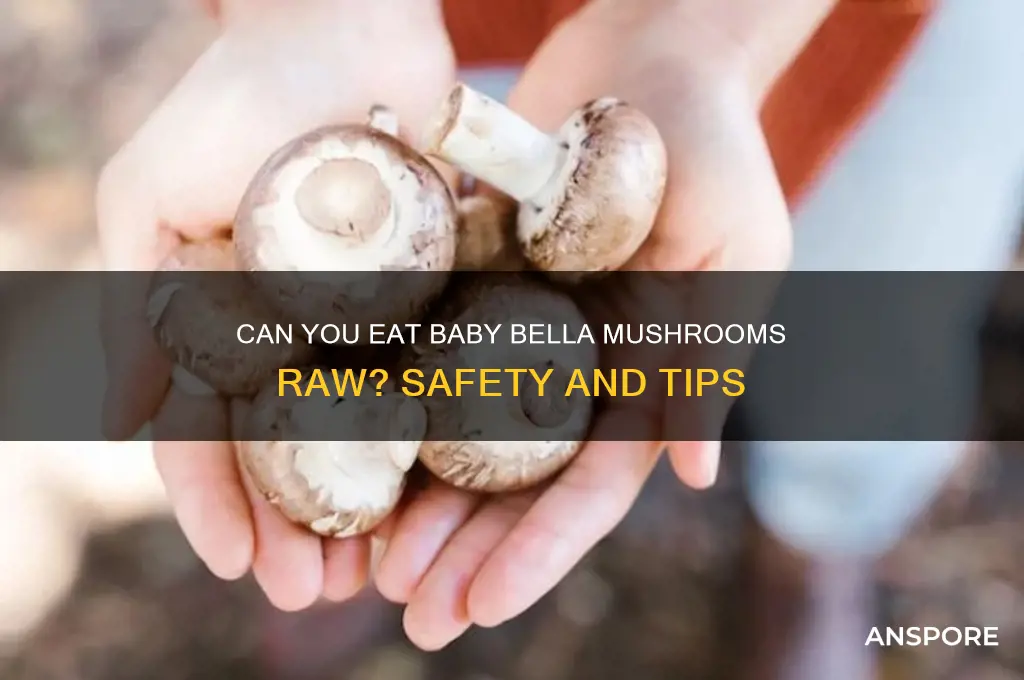 can u eat baby bella mushrooms raw