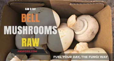 Can You Eat Bell Mushrooms Raw? A Quick Guide
