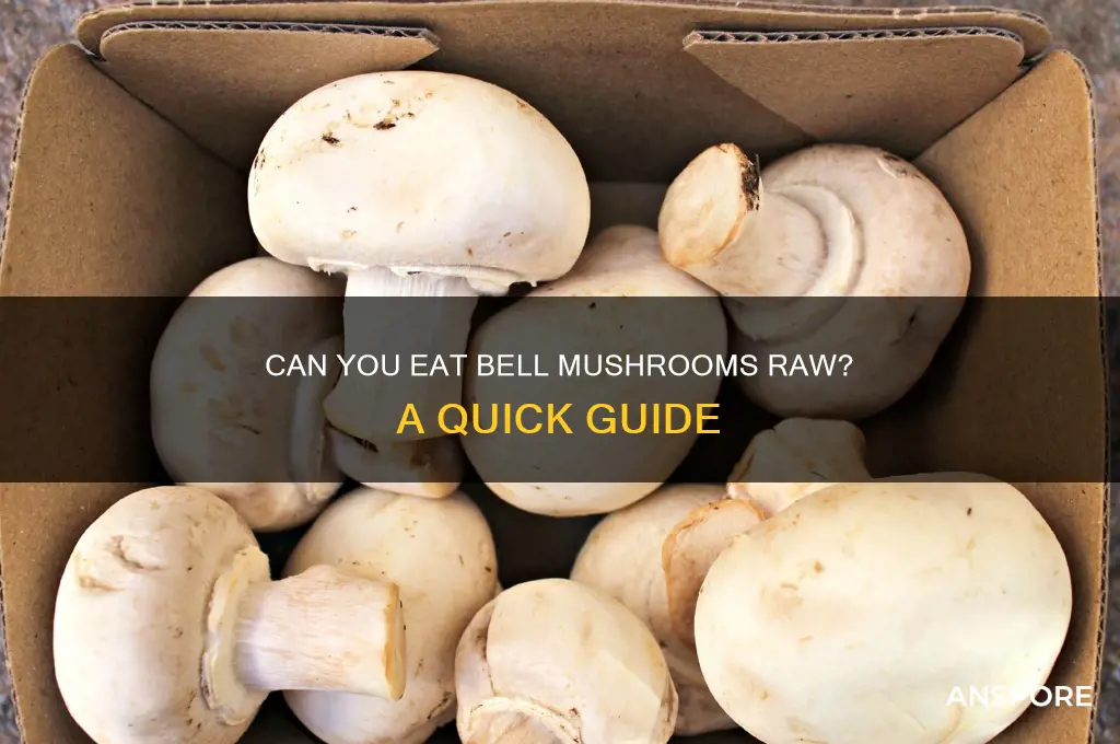 can u eat bell mushrooms raw