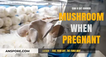 Cooked Mushrooms During Pregnancy: Safe or Risky? Expert Advice