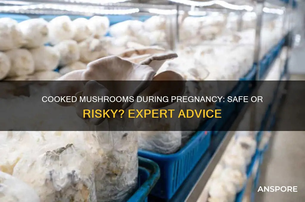 can u eat cooked mushrooms when pregnant