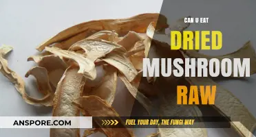 Can You Eat Dried Mushrooms Raw? Safety and Tips Explained
