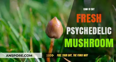 Exploring the Risks and Realities of Eating Fresh Psychedelic Mushrooms