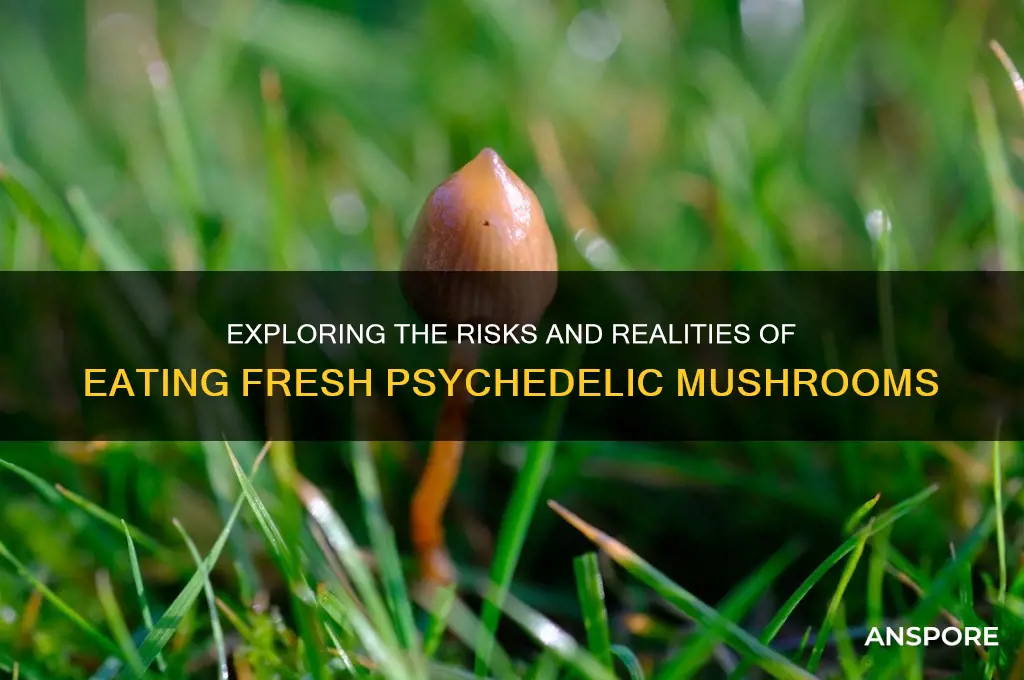can u eat fresh psychedelic mushrooms