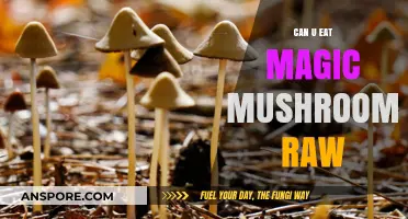 Can You Eat Magic Mushrooms Raw? Risks and Considerations