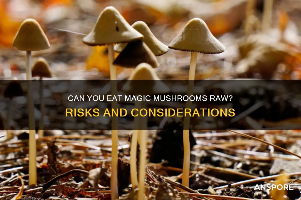can u eat magic mushrooms raw