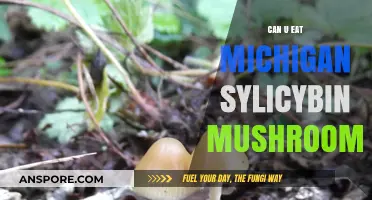Exploring Michigan's Psilocybin Mushrooms: Legal, Safe, and Edible?