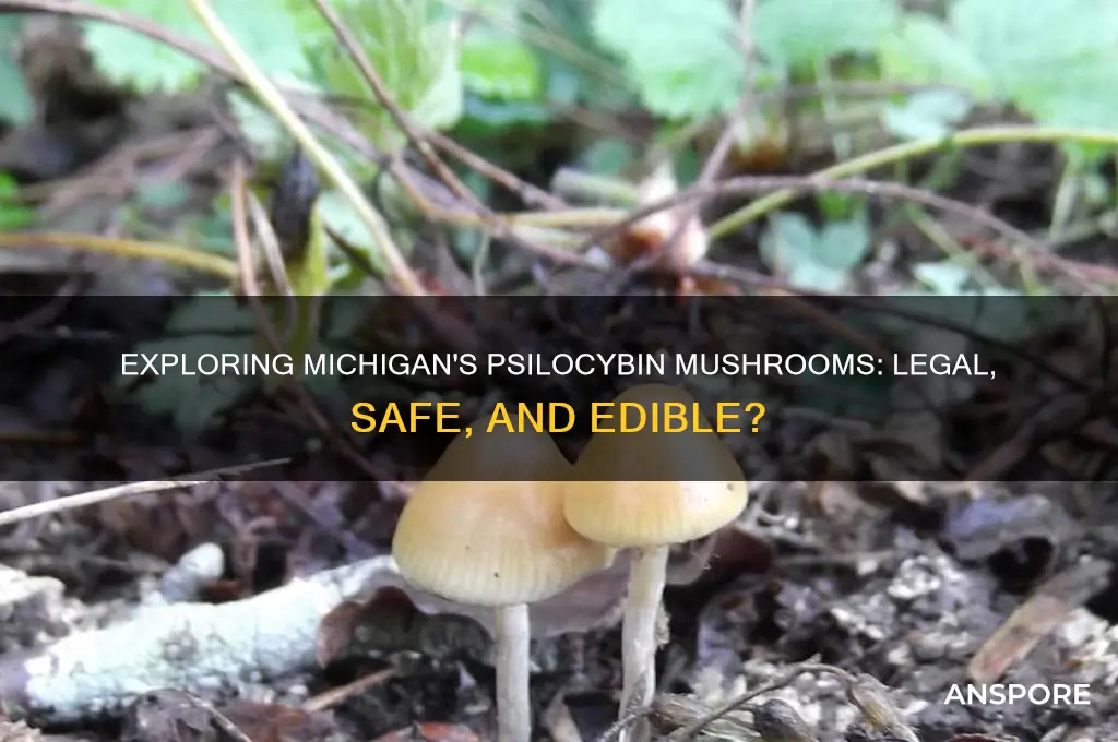 can u eat michigan sylicybin mushrooms